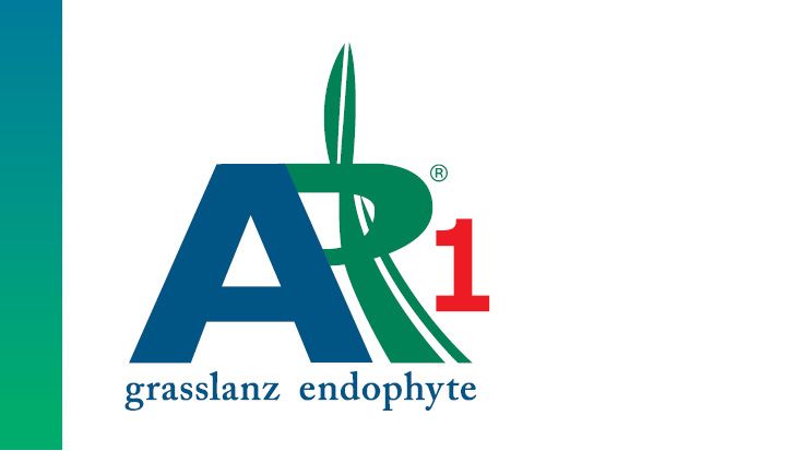 AR1 Endophyte